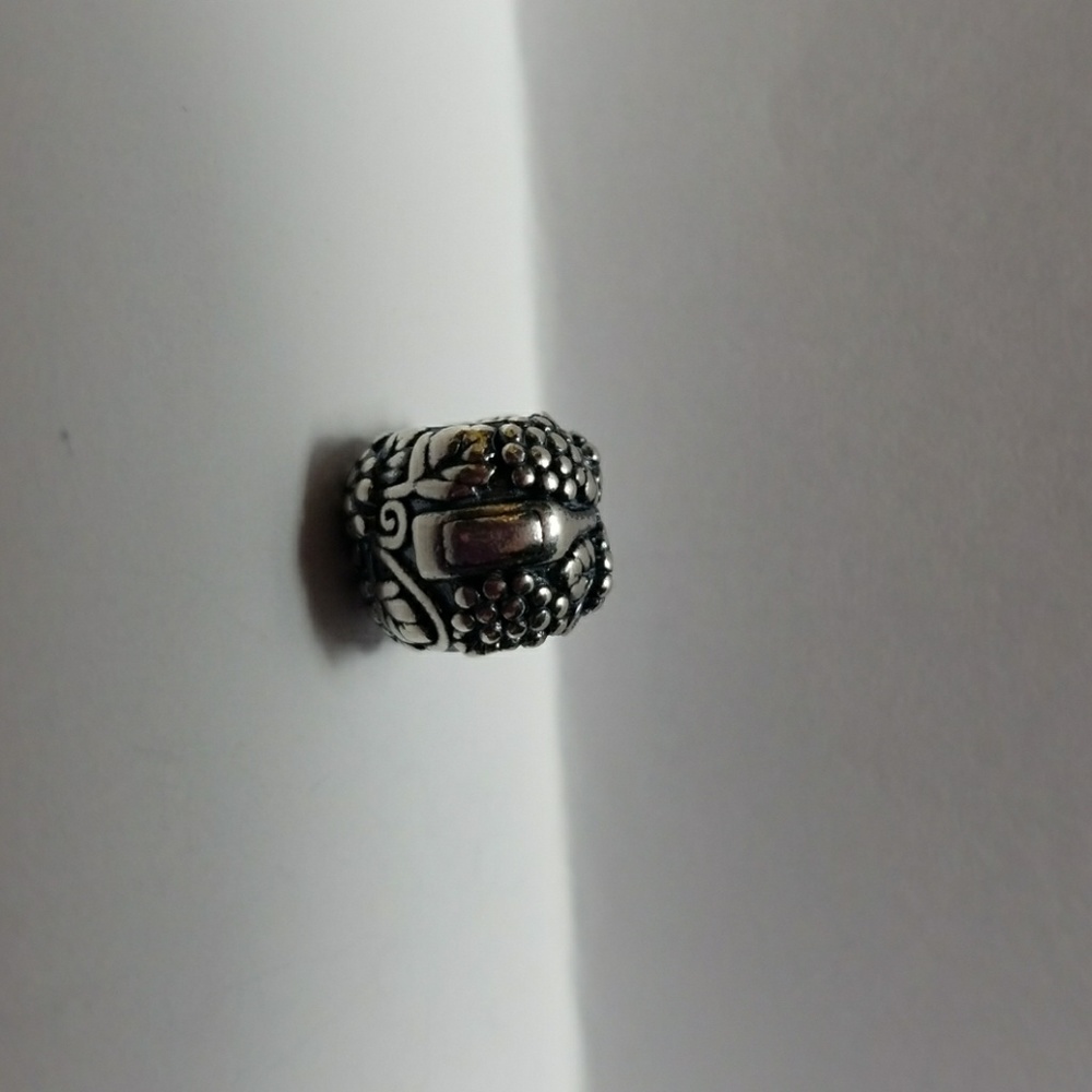 Pandora charm